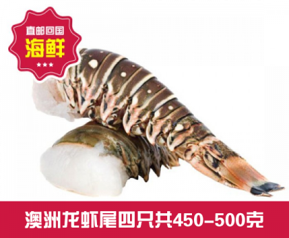 【直发回国】澳洲龙虾尾4只装总450-500克